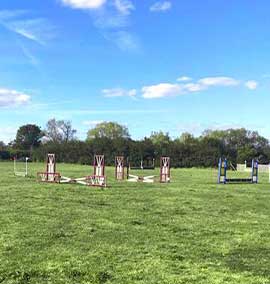 Grass arenas at Lyford Stud